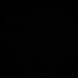 Meet your Posher, Destiny